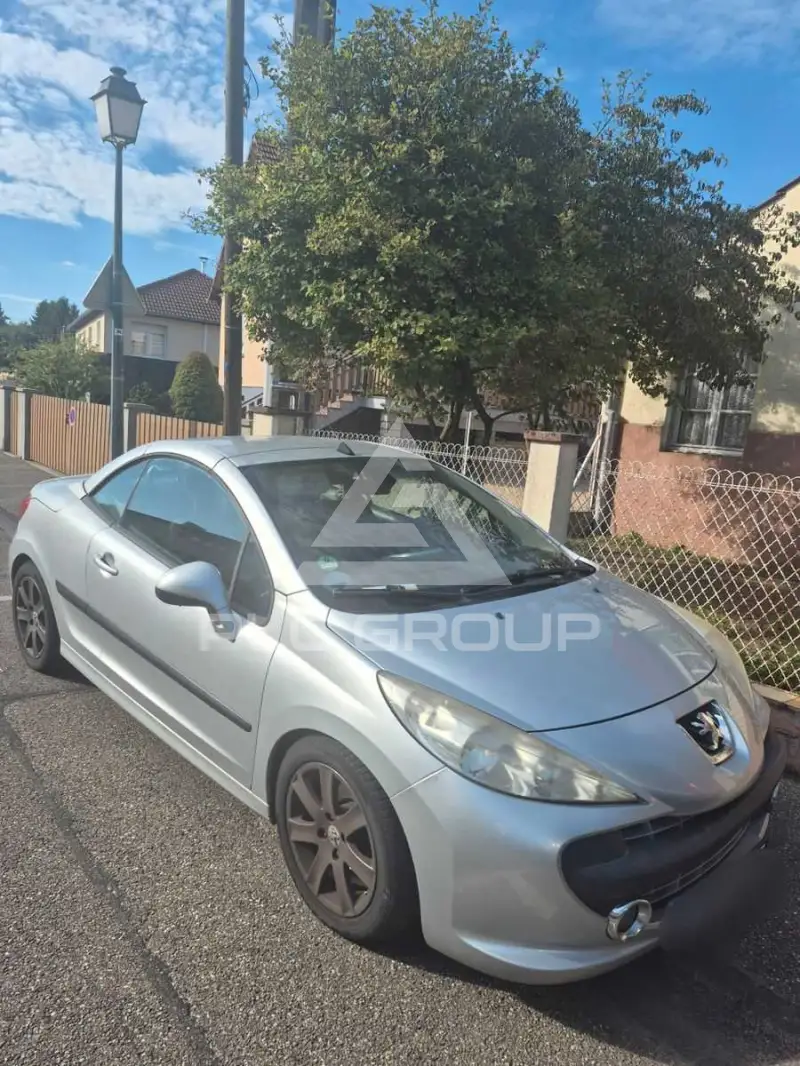 2007 Peugeot 207