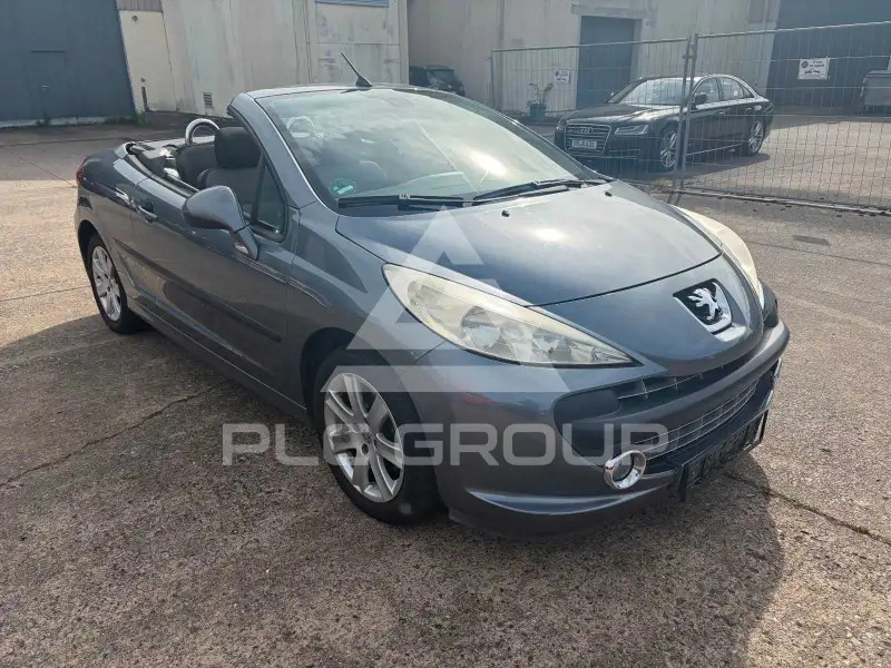 2007 Peugeot 207