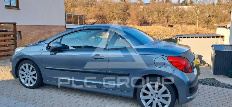 2007 Peugeot 207