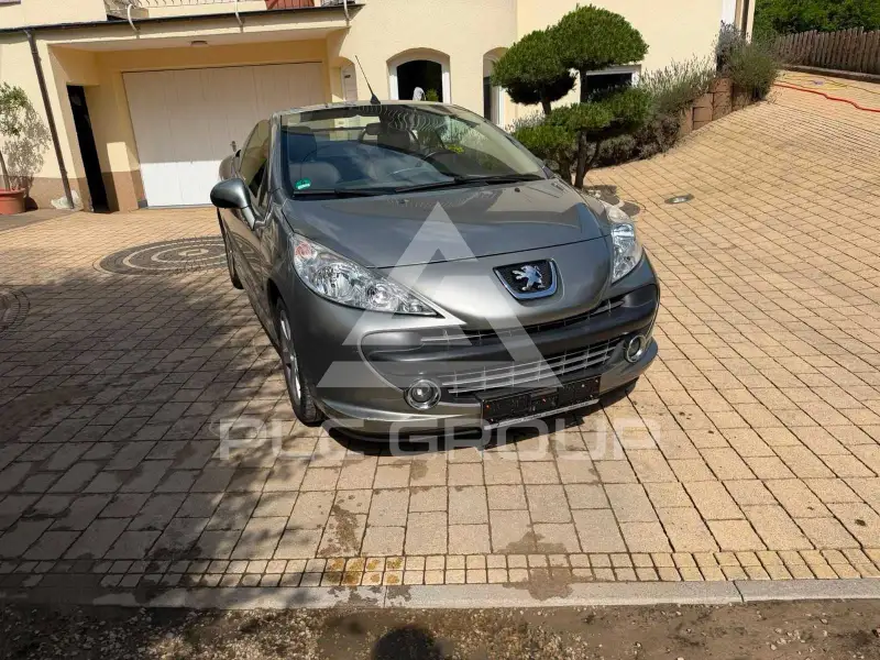 2007 Peugeot 207