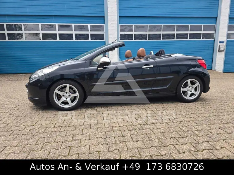 2007 Peugeot 207