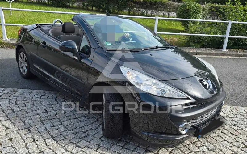 2007 Peugeot 207