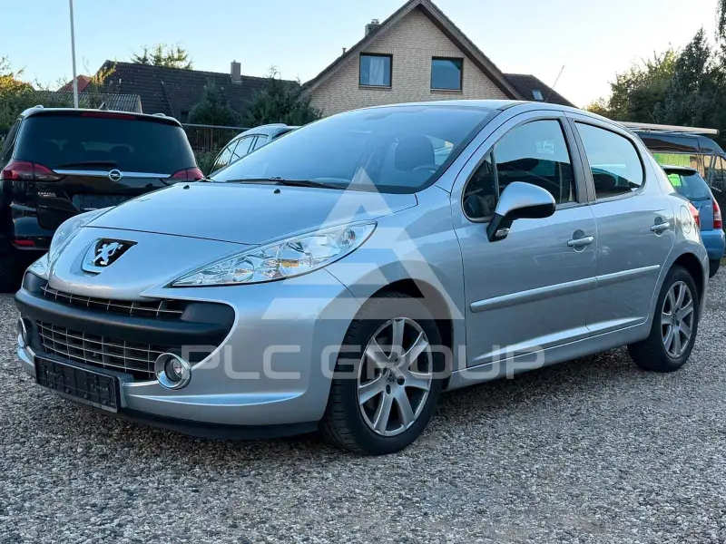 2007 Peugeot 207