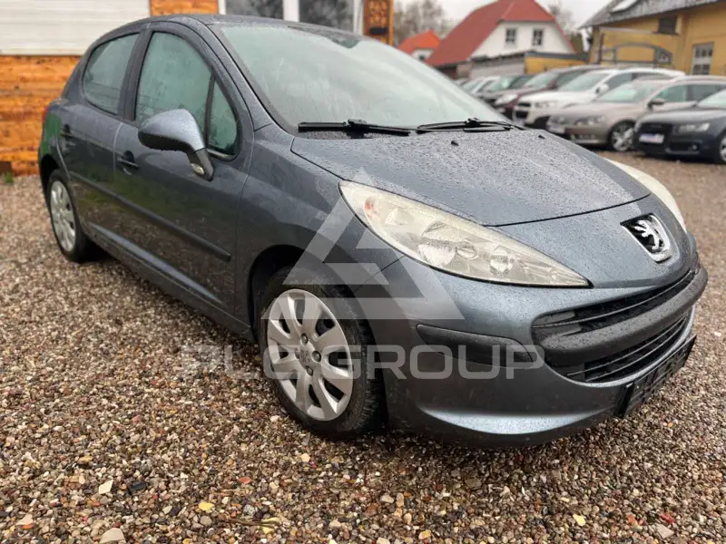 2007 Peugeot 207