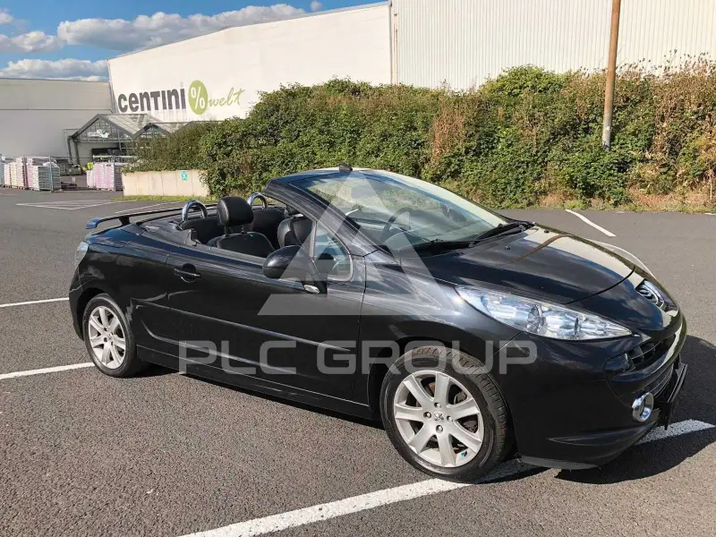 2007 Peugeot 207