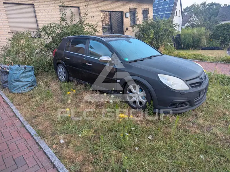 2007 Opel Signum