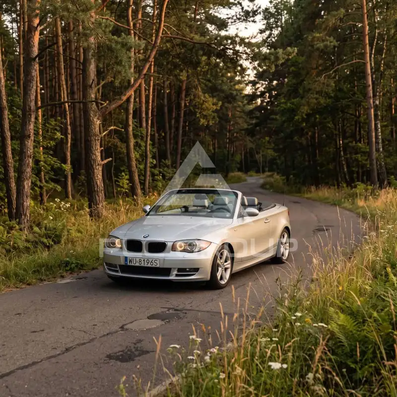 2008 BMW 130