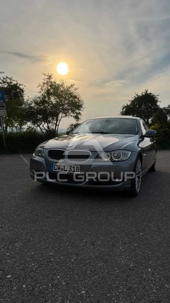 2008 BMW 318