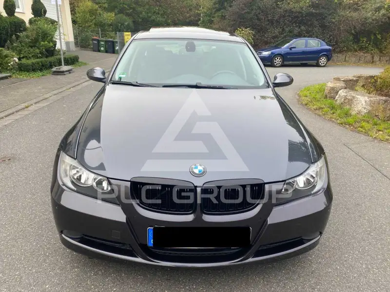 2008 BMW 318
