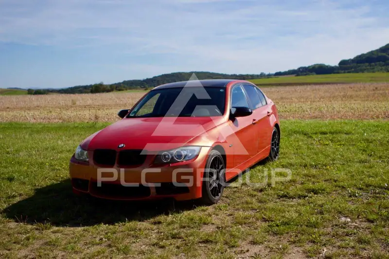 2008 BMW 318