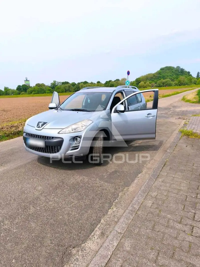 2008 Peugeot 4007