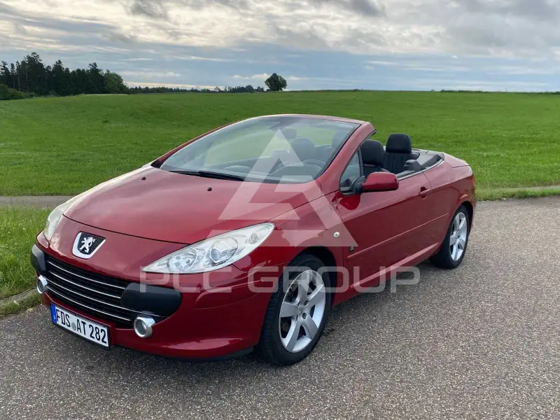 2008 Peugeot 307