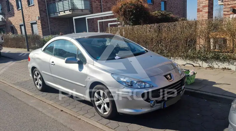 2008 Peugeot 307