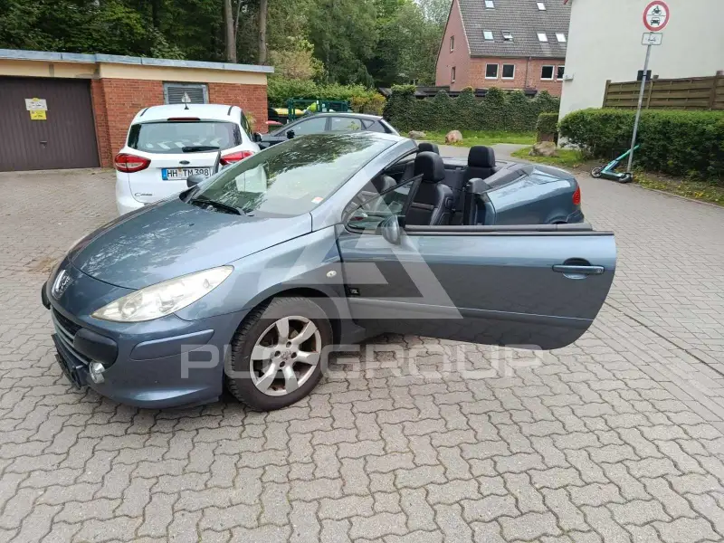 2008 Peugeot 307