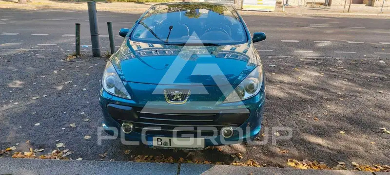 2008 Peugeot 307