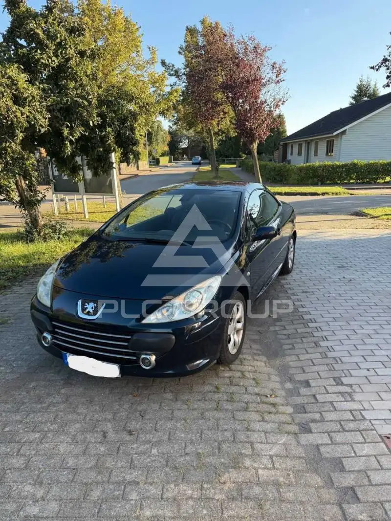2008 Peugeot 307
