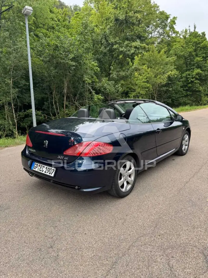 2008 Peugeot 307