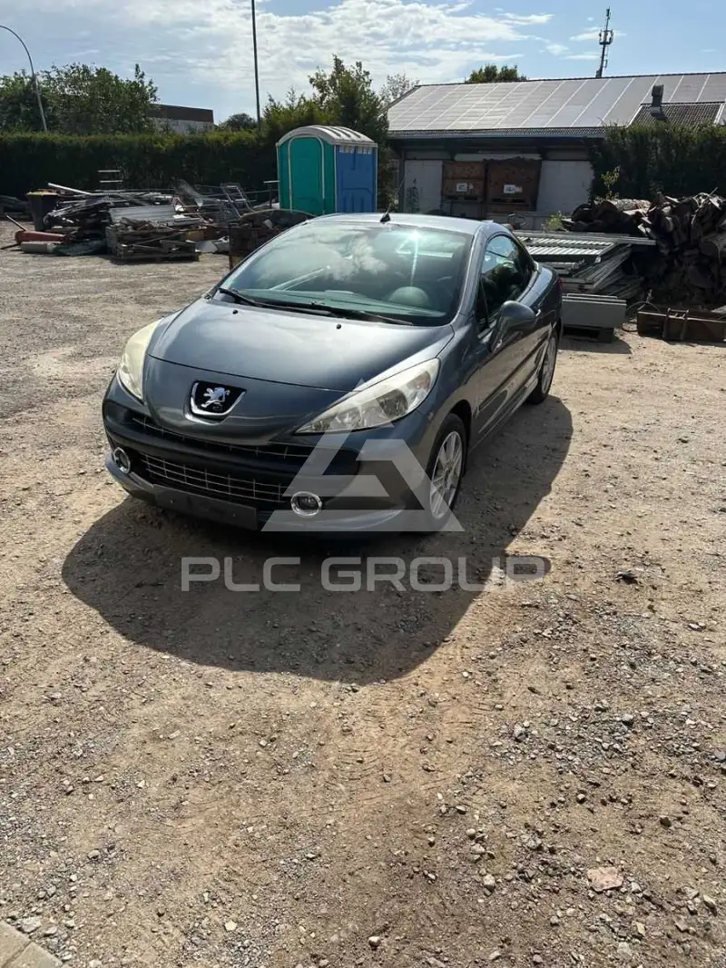 2008 Peugeot 207