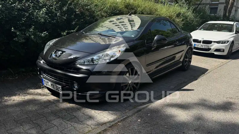 2008 Peugeot 207
