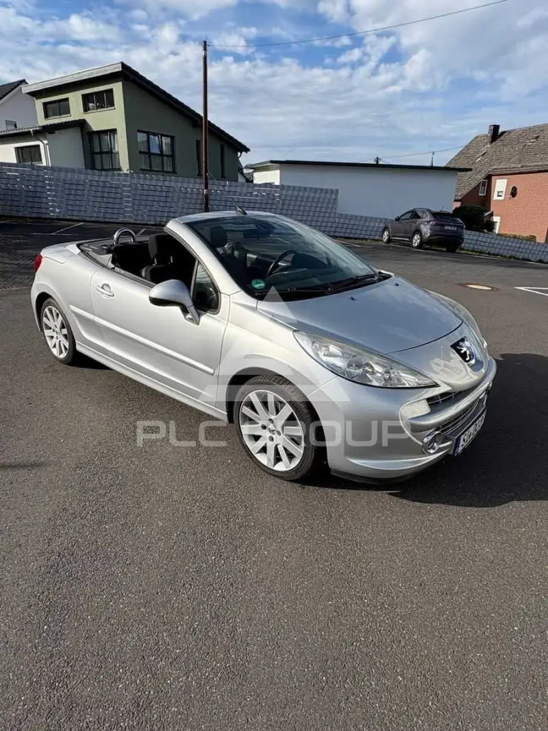 2008 Peugeot 207