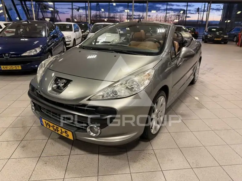 2008 Peugeot 207