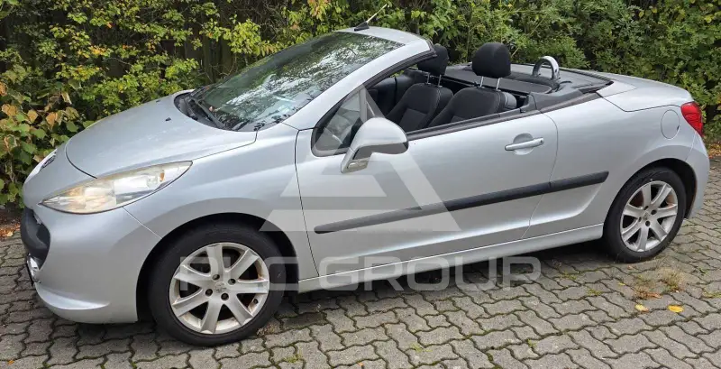2008 Peugeot 207