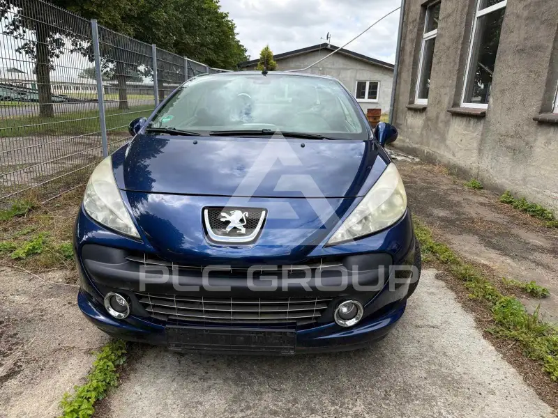 2008 Peugeot 207