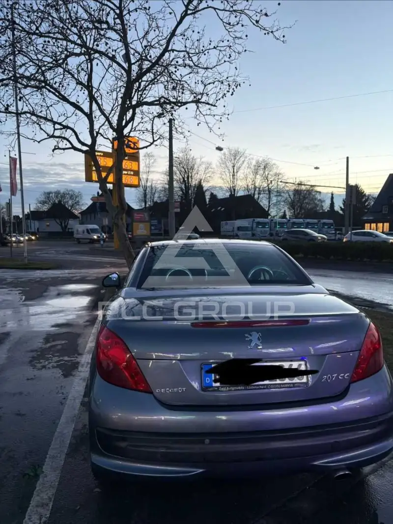 2008 Peugeot 207