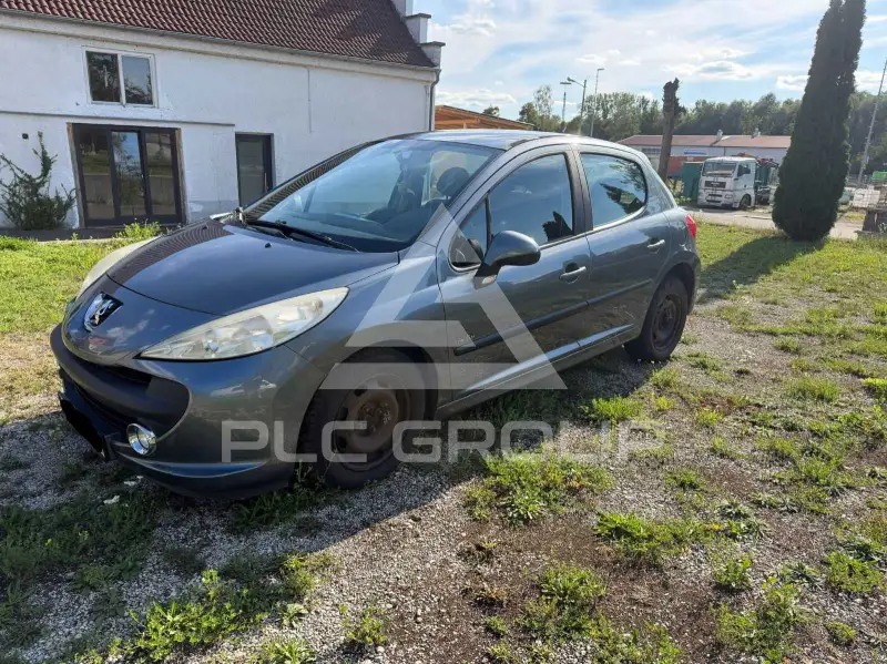 2008 Peugeot 207