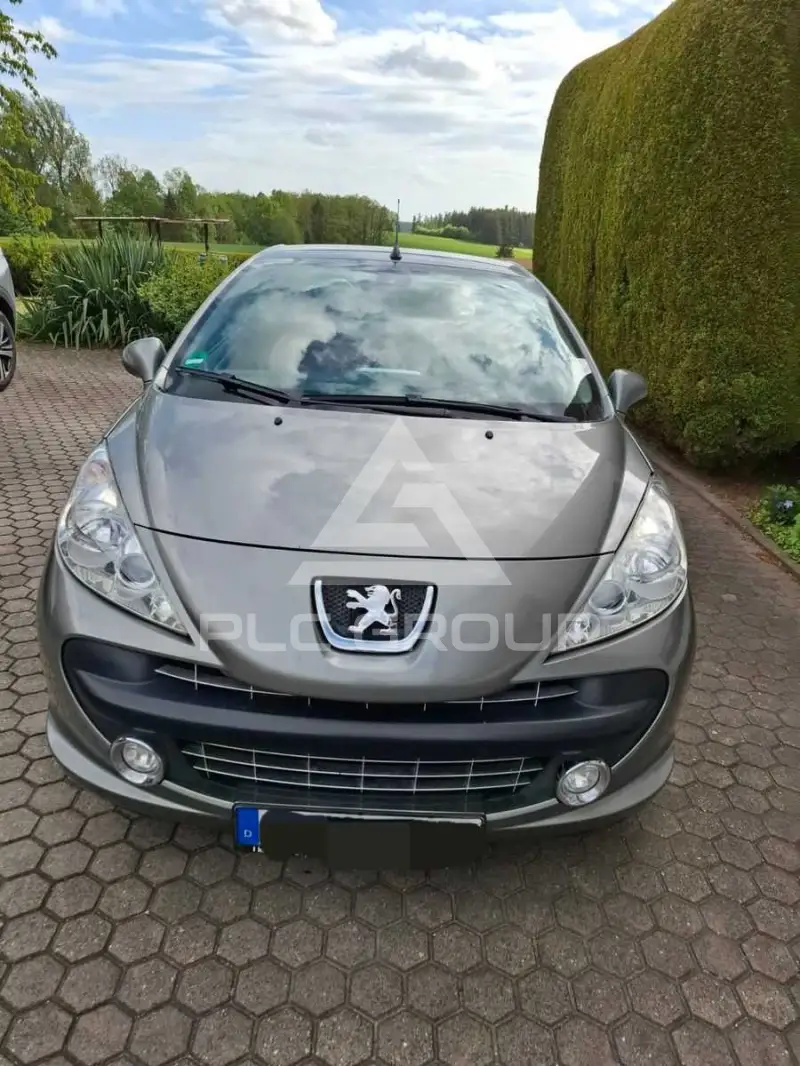 2008 Peugeot 207