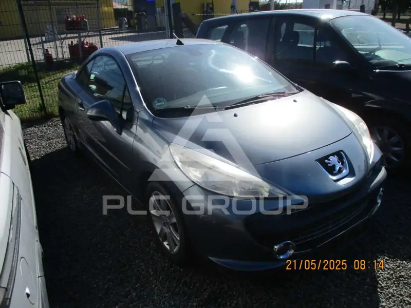 2008 Peugeot 207