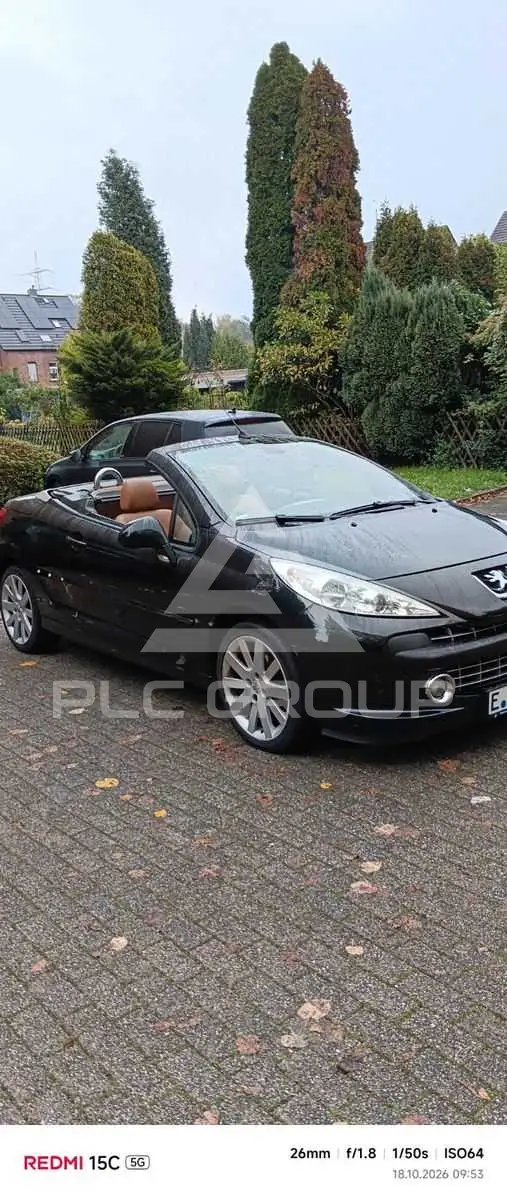 2008 Peugeot 207