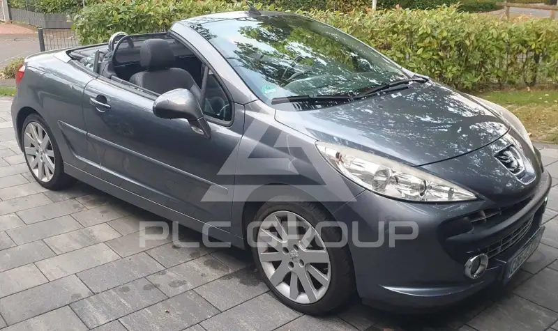 2008 Peugeot 207