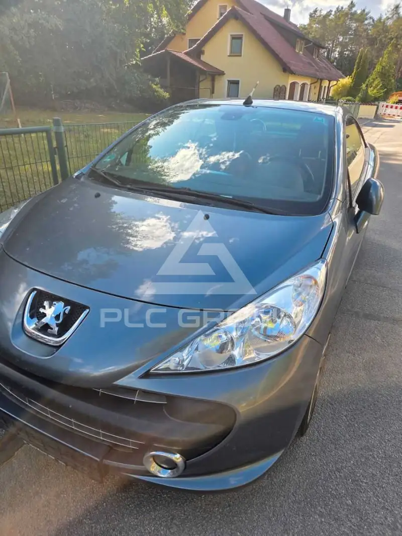 2008 Peugeot 207