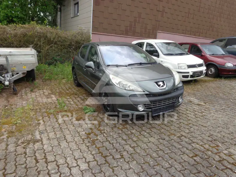 2008 Peugeot 207