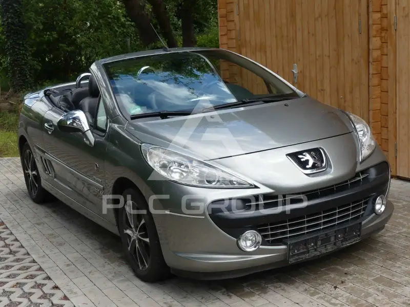 2008 Peugeot 207