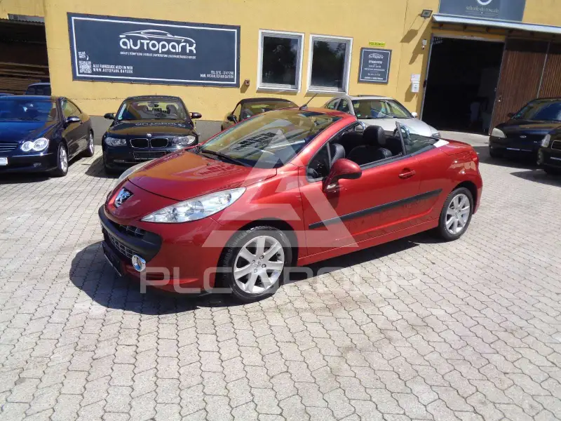 2008 Peugeot 207