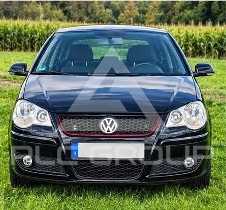 2008 Volkswagen Polo