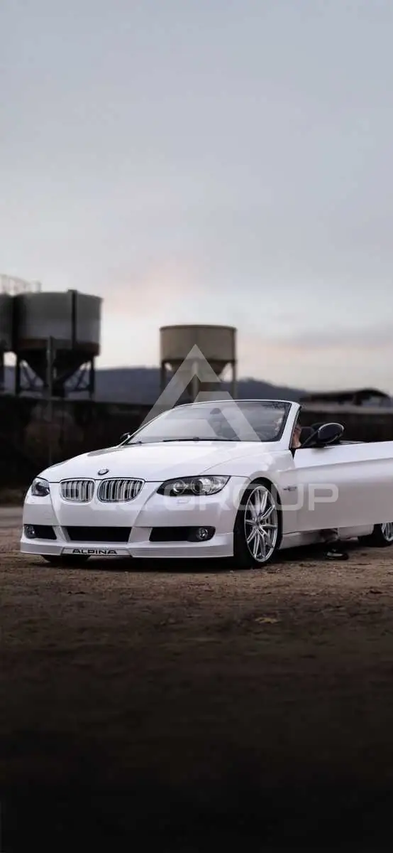 2009 BMW 325