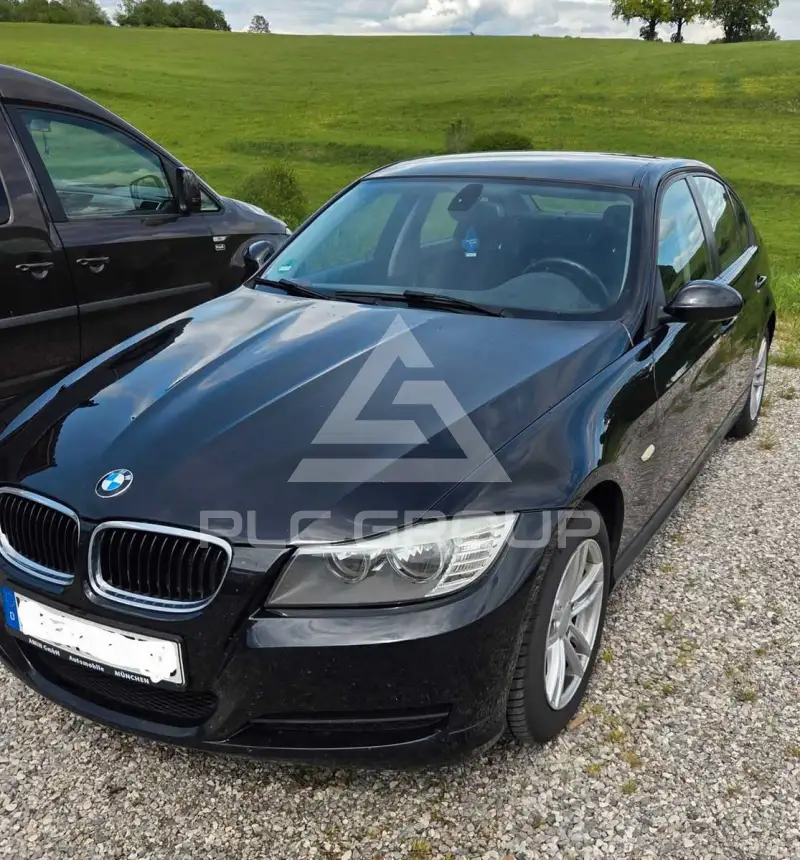 2009 BMW 316