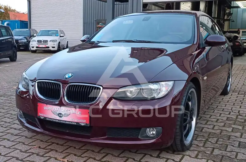 2009 BMW 320