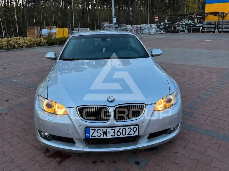 2009 BMW 320