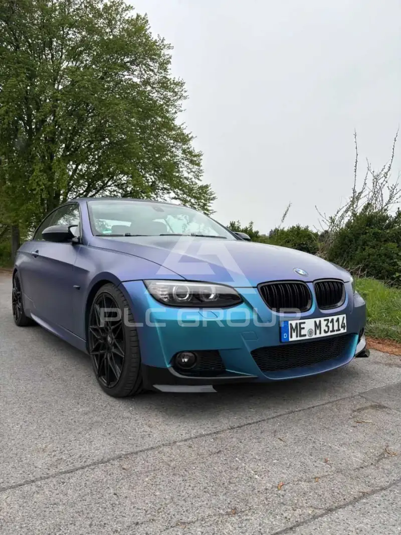 2009 BMW 320