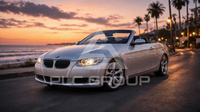 2009 BMW 330
