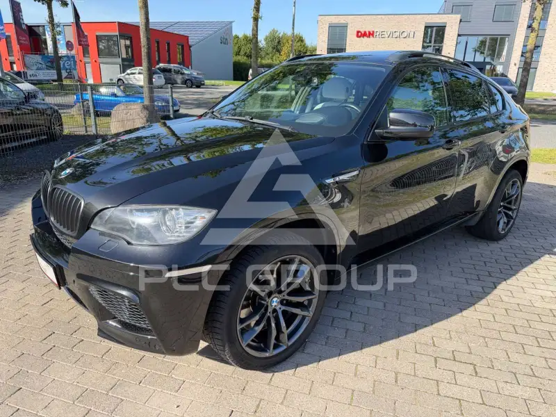 2009 BMW X6