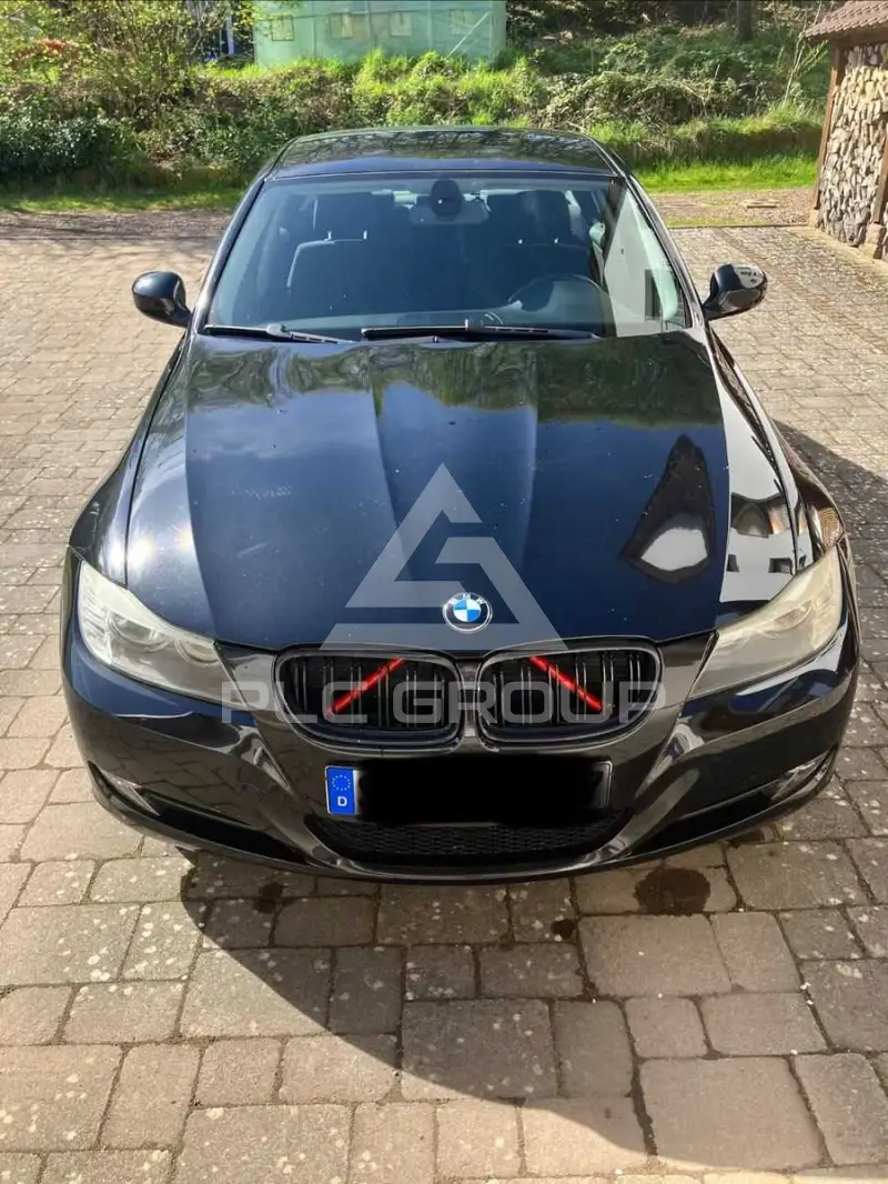 2009 BMW 318