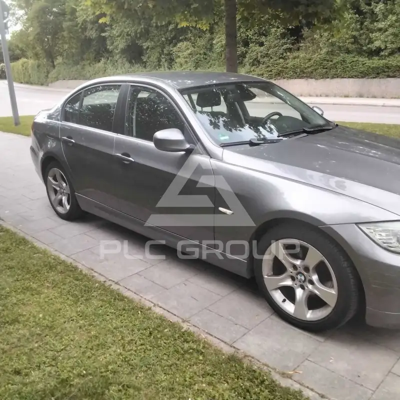 2009 BMW 318