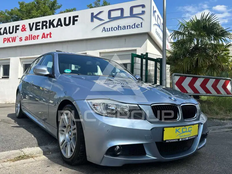 2009 BMW 318