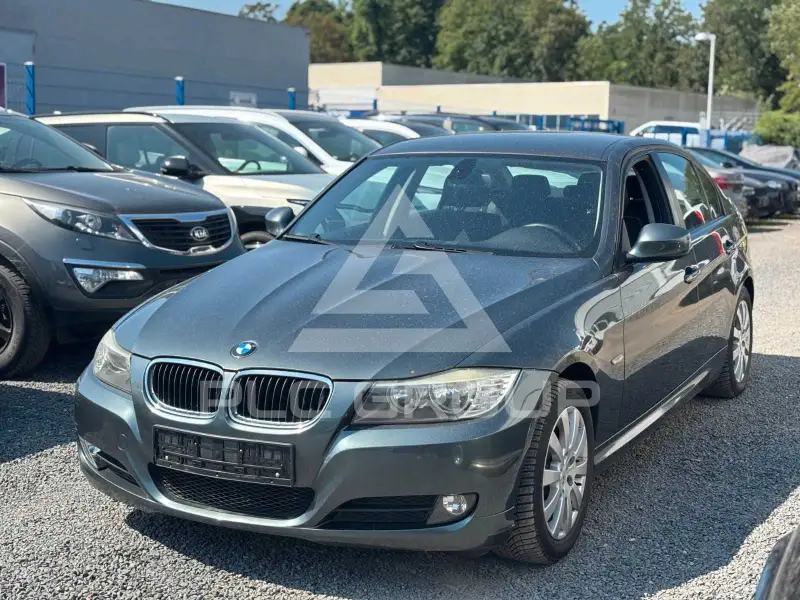 2009 BMW 318