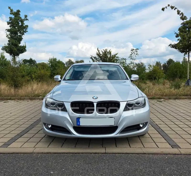 2009 BMW 318